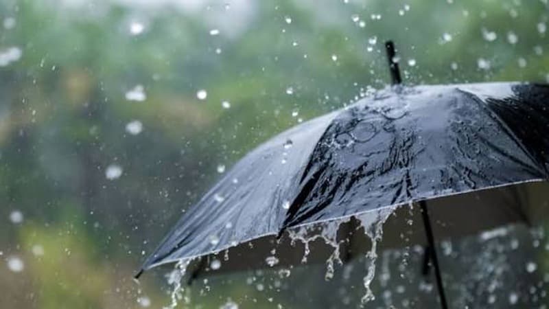 Today’s weather: isolated showers and storms