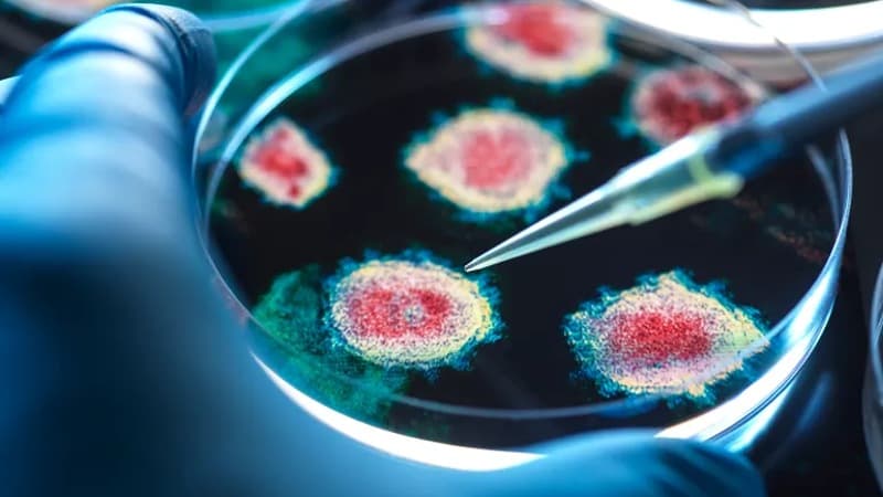 Siberia Woman Dies of Plague Quarantine for Dozens