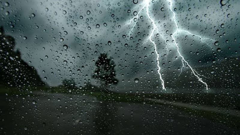 Today’s forecast: Thunderstorms in select regions
