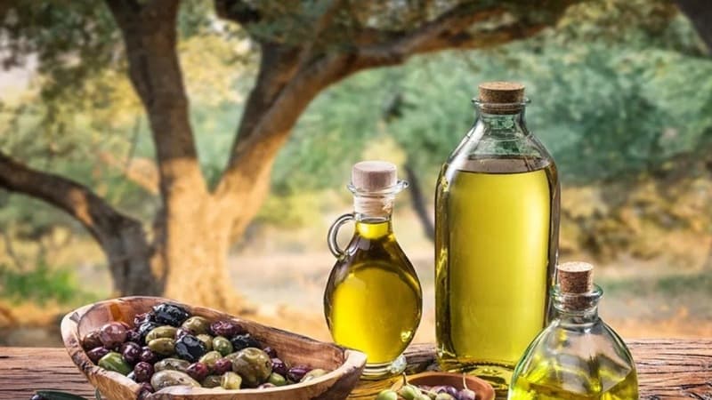 عائدات زيت الزيتون التونسي تتجاوز 4 مليارات دينار