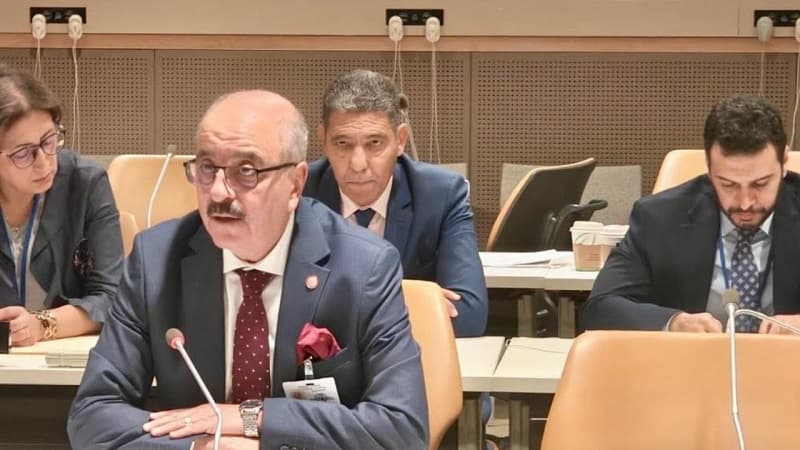 Foreign Minister attends OIC Contact Group on Muslims in Europe