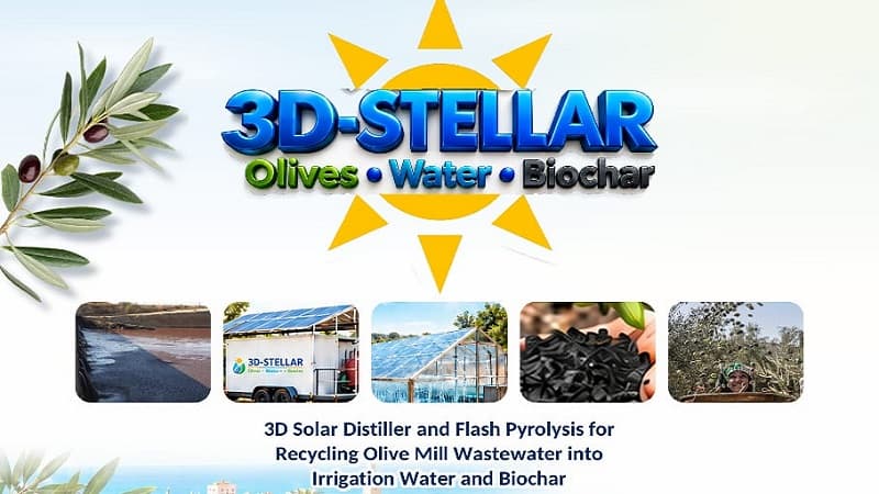 Sfax Olive Harvest Spurs Eco Innovation