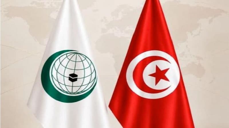 مدير الشؤون القانونية يضم هيئة حقوق الإنسان