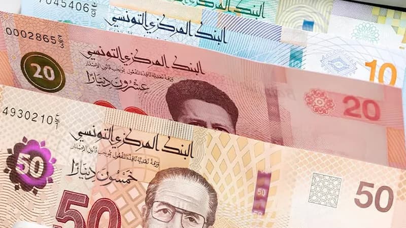 Al-Nakhli: Honor loan platforms stay open until funds run out