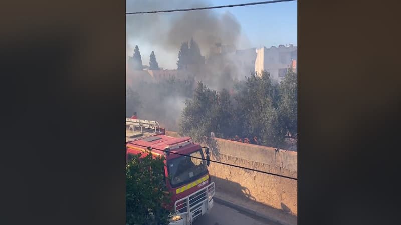 Fouchana Olive Grove Fire