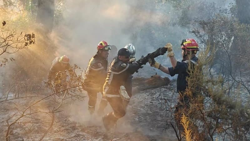 Updates on recent fires