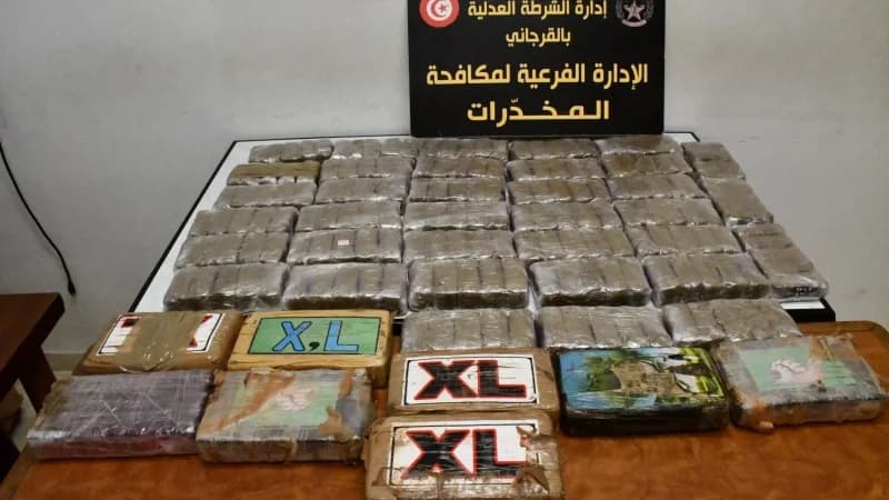 Drug seizure and trafficking dismantling
