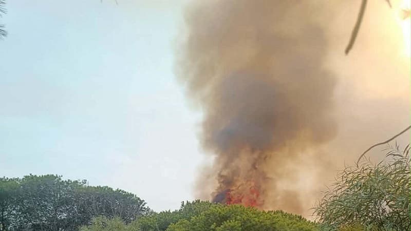 Rass Injlah Forest Fire Managed