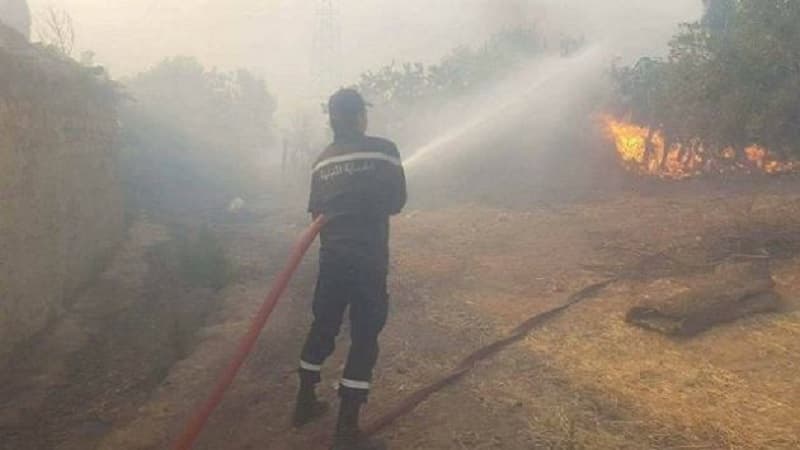 Controlling Bolman Mountain fire progresses