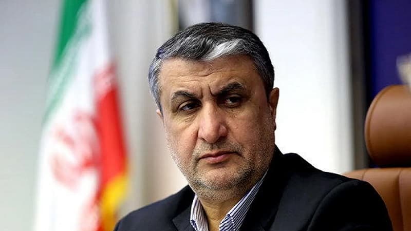 Iranian Atomic Agency: No Uranium Enrichment Halt
