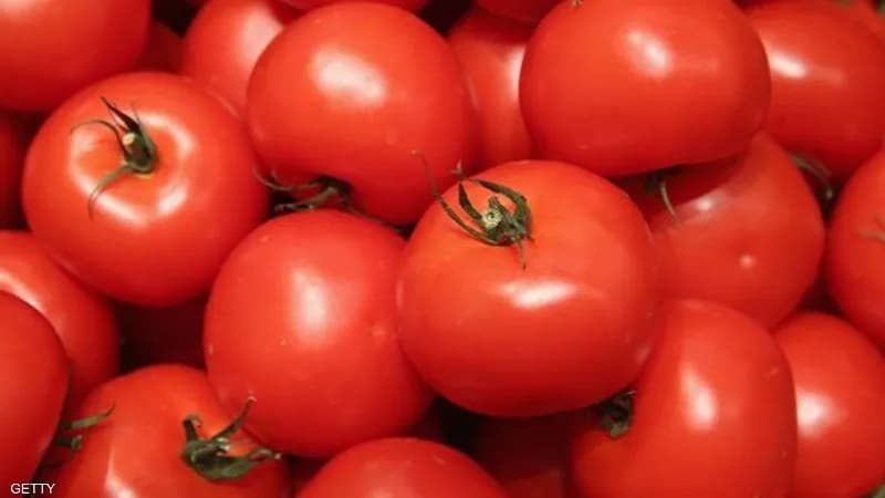 Zgvan: Early signs of tomato crisis easing in November