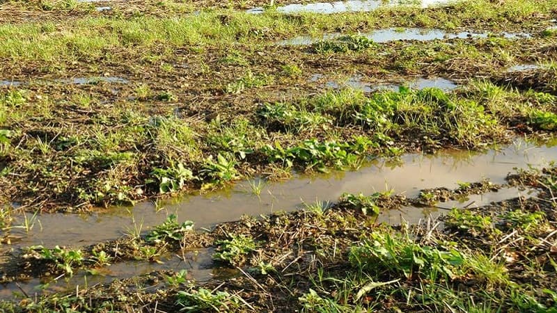 Agriculture Ministry warns farmers and sailors of weather risks