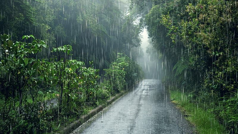 Rain, thunderstorms, cooler temperatures in these regions