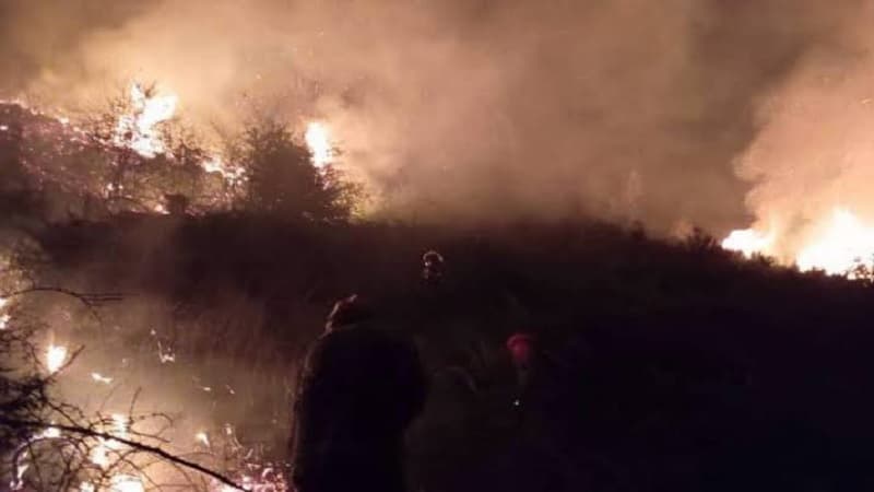 Jendouba Fire Contained in Wadi Al-Tut Area of Fernana District