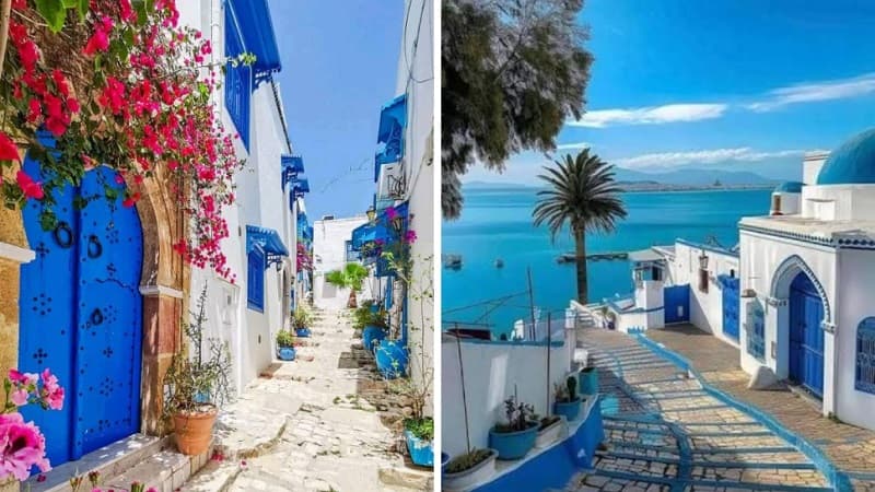 Tunisia gains UNESCO World Heritage status for Sidi Bou Said