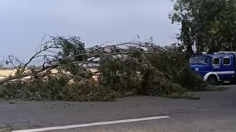 Storm causes fallen trees and traffic delays on National Road 6