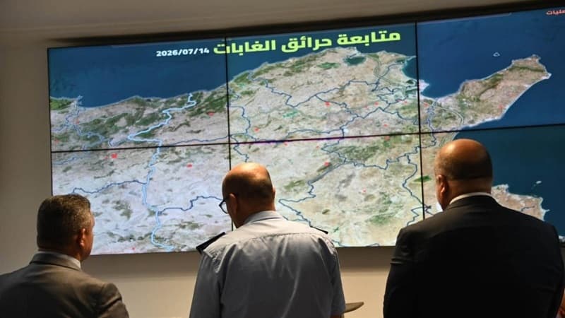 وزارة الداخلية تتابع جهود إخماد حرائق الغابات