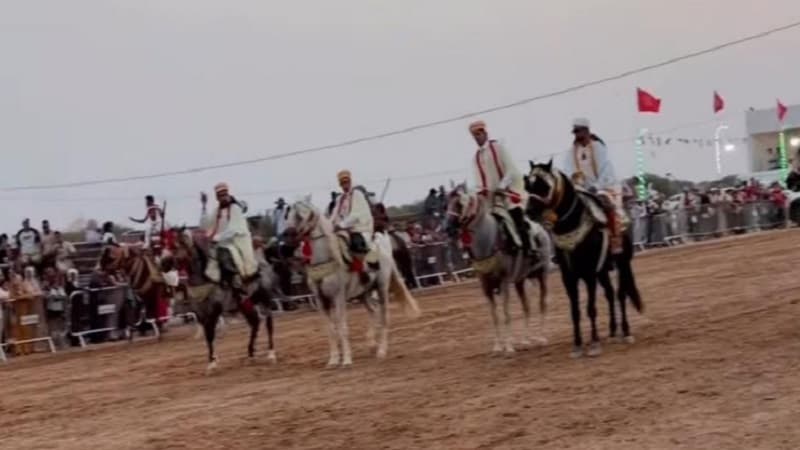 سيدي بوزيد تختتم مهرجان الحاج منصر للفروسية