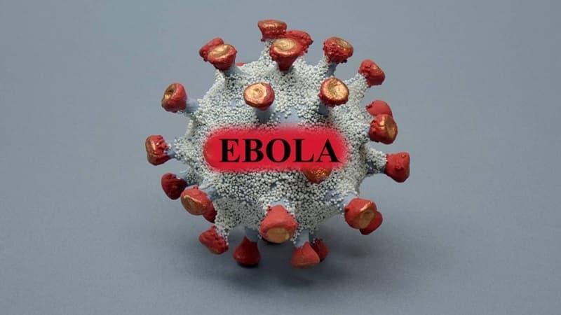 WHO: Ebola spread exceeds response