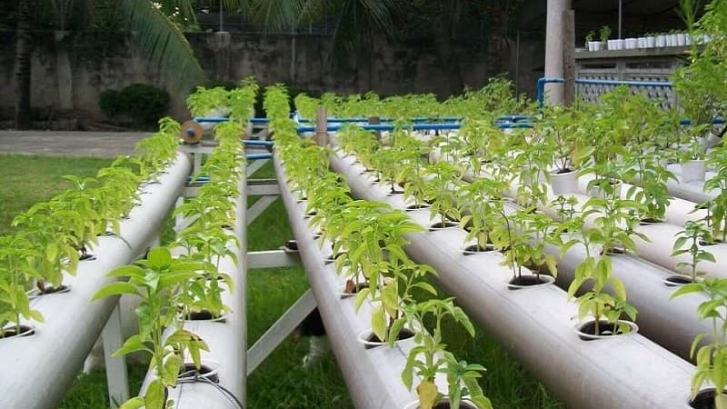 Agriculture Ministry Urges Contact with Banks for Grant Disbursement