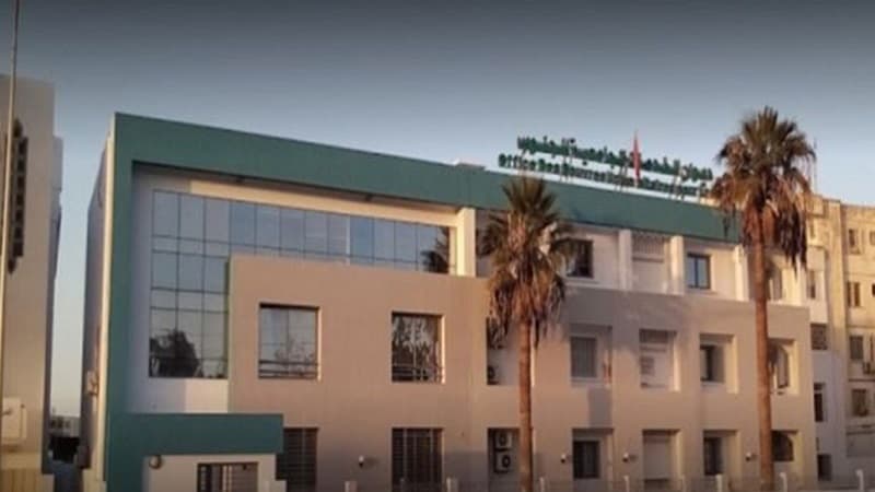 ديوان الخدمات الجامعية للجنوب يفتح الترشحات للسكن