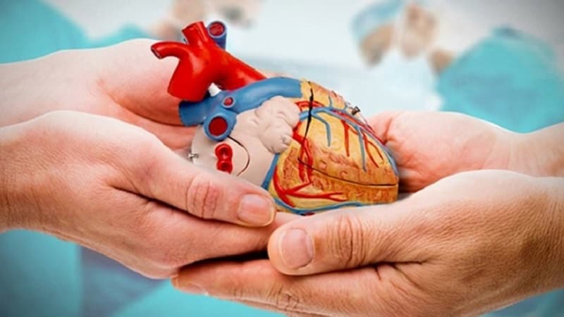 تونس تحتفل باليوم العالمي للتبرع بالأعضاء