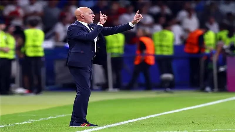 مدرب إسبانيا يصف فرنسا بأنها واجهت أفضل فريق في العالم