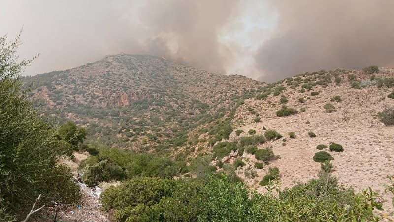Barqou Firefighting Efforts Ongoing