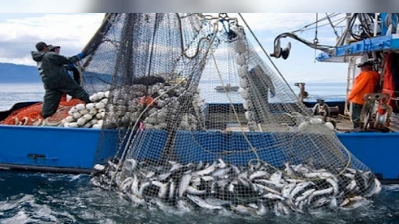 Ministry sets 2026/2027 fishing schedule