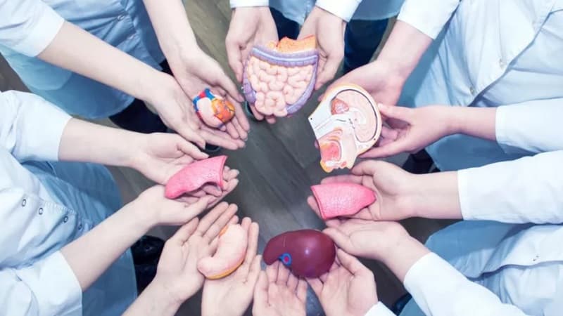 Majority of families decline organ donation