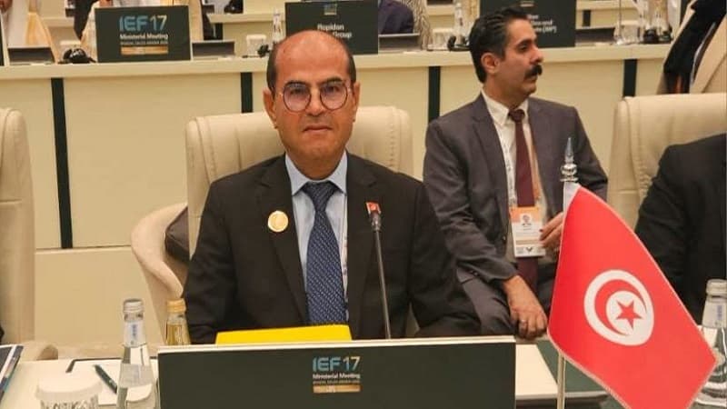 Zourari Highlights Regional Energy Cooperation