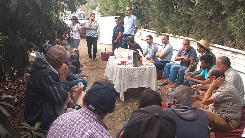 Bani Khalad: Bio Solution for Tsetse Fly