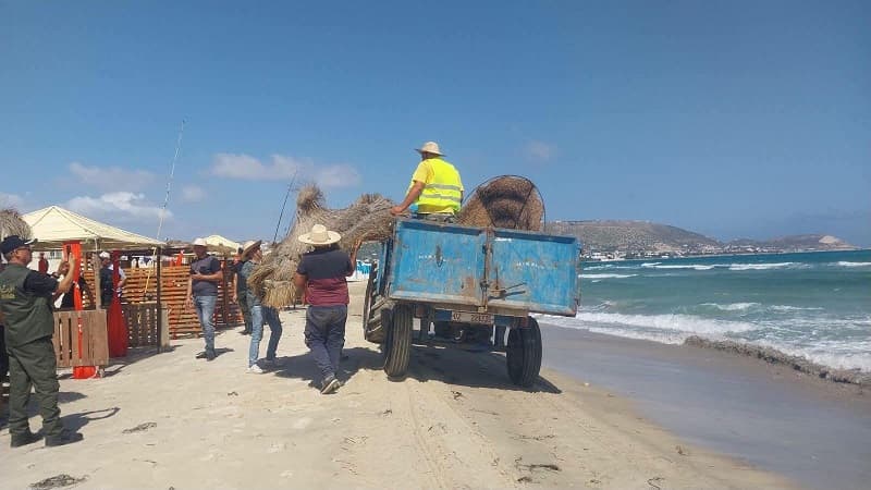 Bizerte: Judicial Reports at Mami Beach