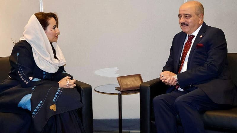وزير الخارجية يلتقي أمينة تعاون الرقمي
