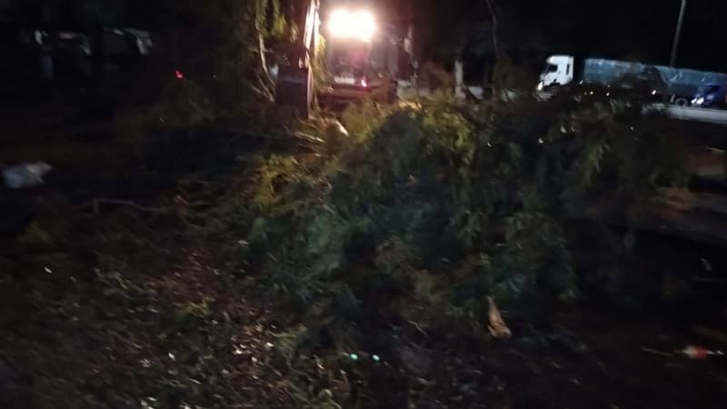 Kairouan: Road openings after fallen trees