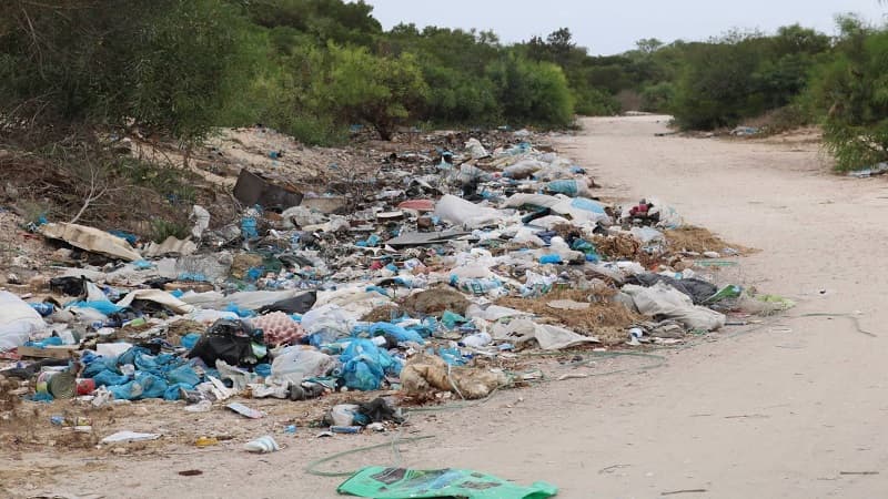 Volunteer efforts to clean Dweiura forest and Al-Aliah beach