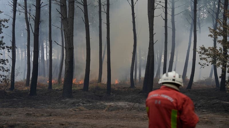 Jendouba faces three fires ongoing