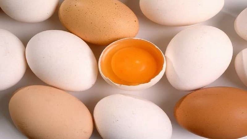 Farmers warn egg sales below cost hurt producers