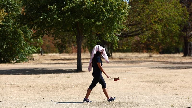 Western Europe hits record heat in June and July