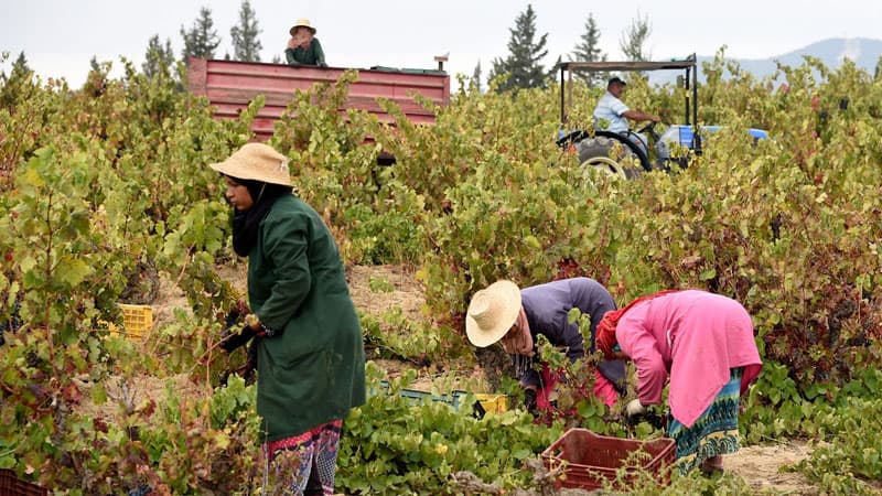 Launching New Project to Promote Agricultural Innovation and Empower Rural Women