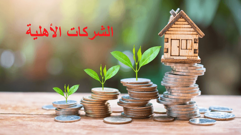 تأسيس شركة خاصة للخدمات الثقافية والرياضية