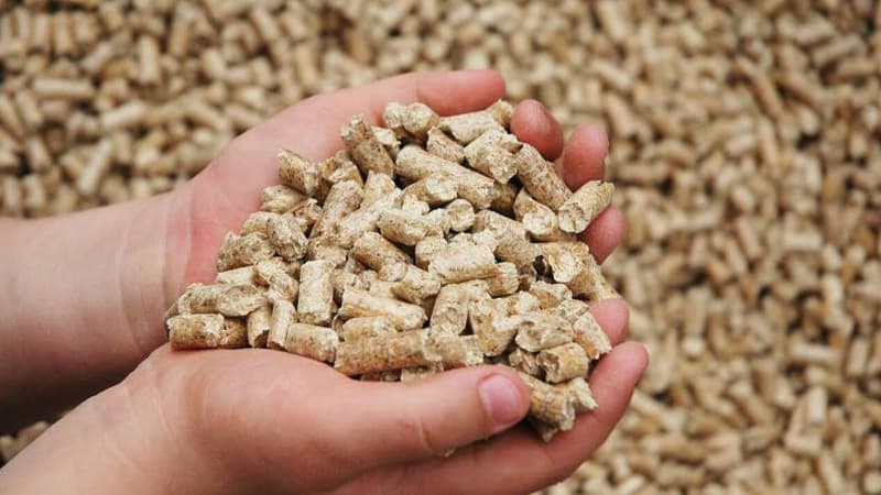 Zaghwan: Farmers worry over fodder shortage
