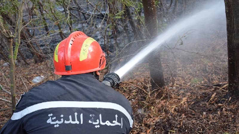 السيطرة على حريق جبل طويلة بمساندة متعددة