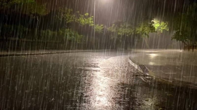 Thursday storms bring 50mm rainfall