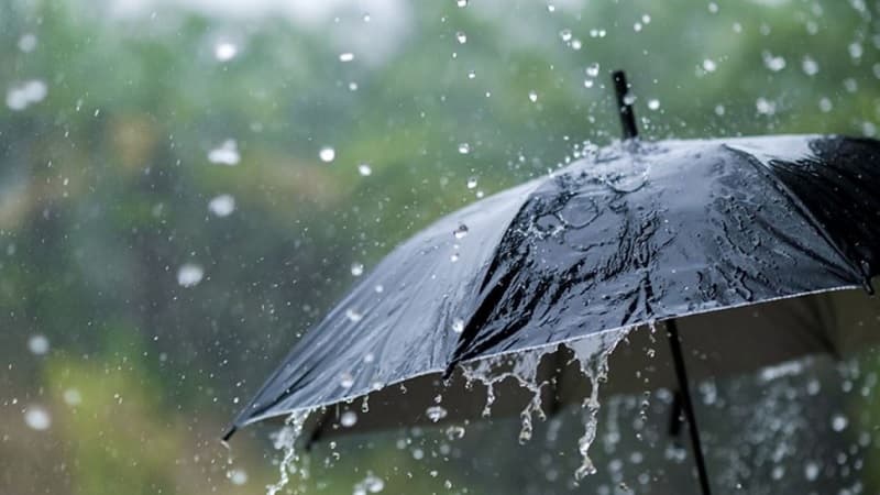 Afternoon storms and heavy rain