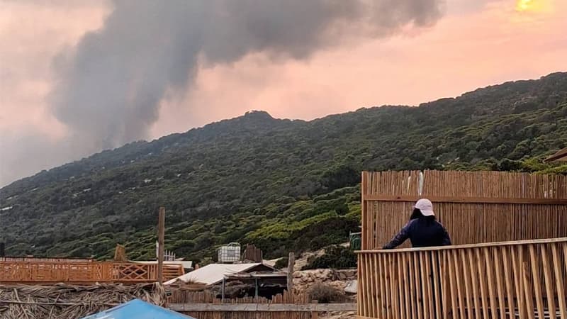 بنزرت: تفعيل المخطط الأخضر للإنقاذ