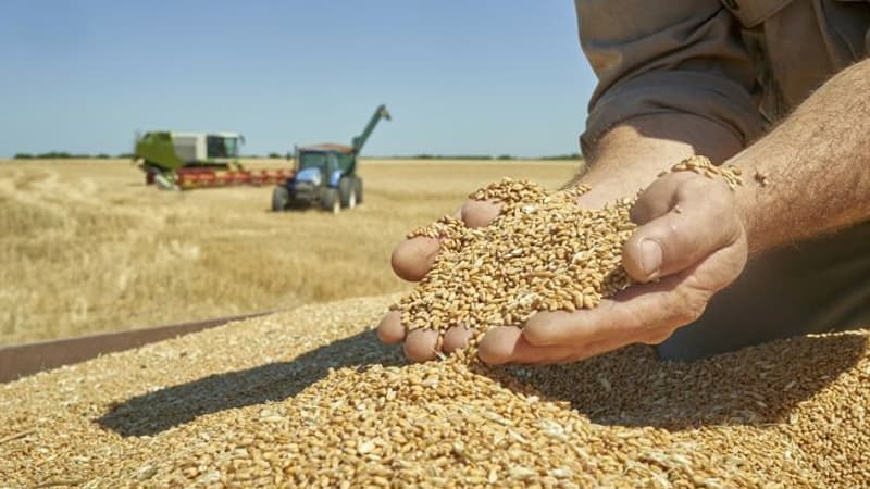Gazette: Grain prices set for 2026-27