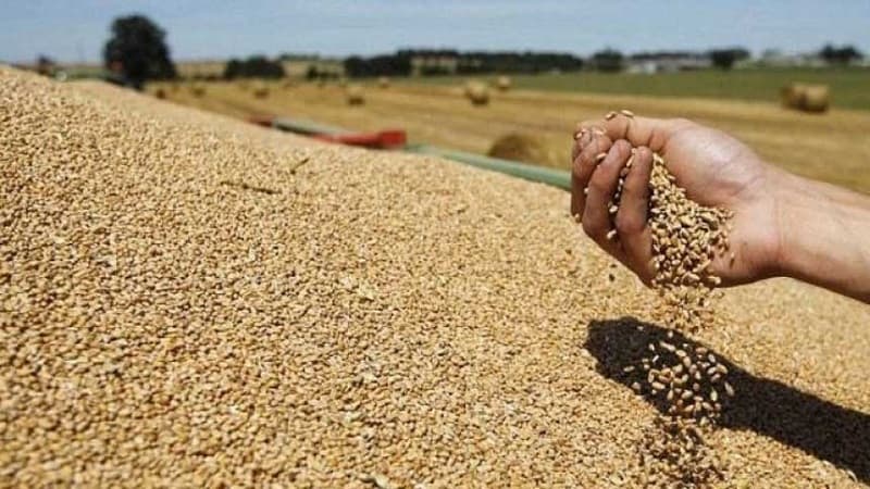 Tunisian Solidarity Bank allocates 30 million dinars for small farmers