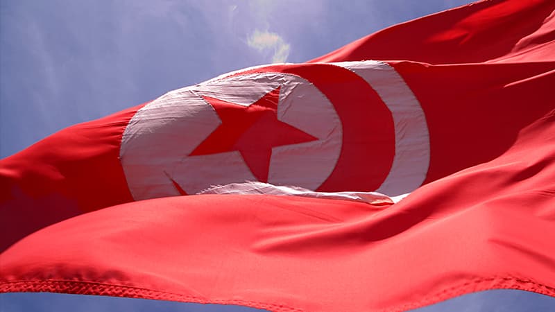 3 تونسيين يتصدرون عالميًا في الجيولوجيا