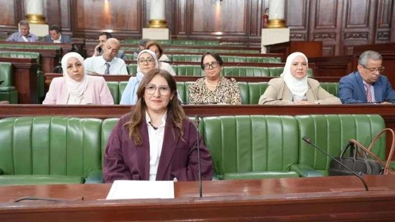 وزيرة المالية تعالج مشكلات برنامج سيارة لكل أسرة